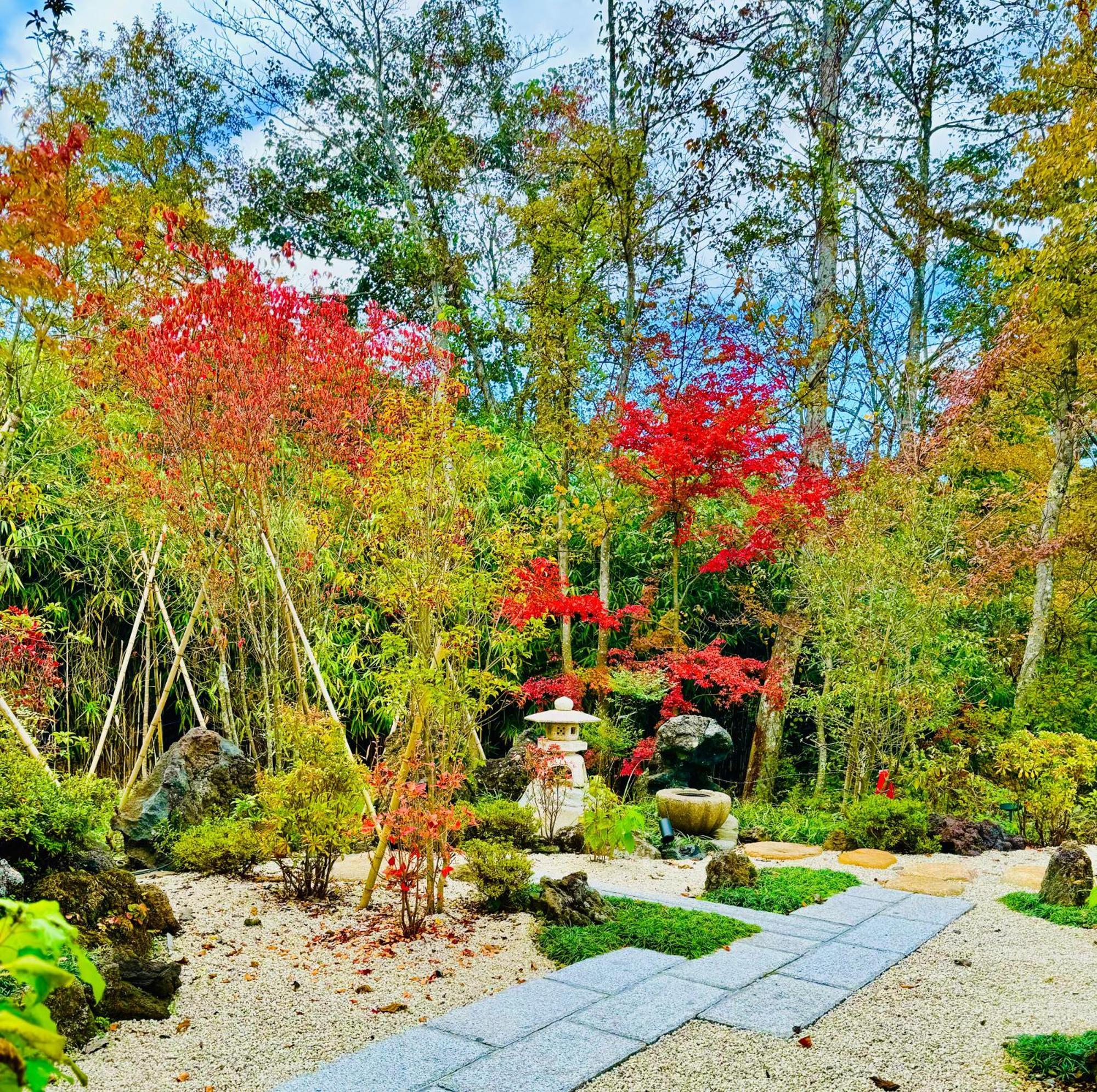 Private Villa Ietona Fujikawaguchiko Esterno foto